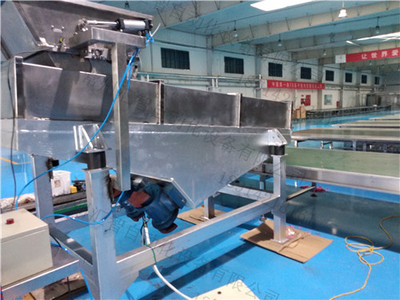 玫瑰花骨朵振动给料机